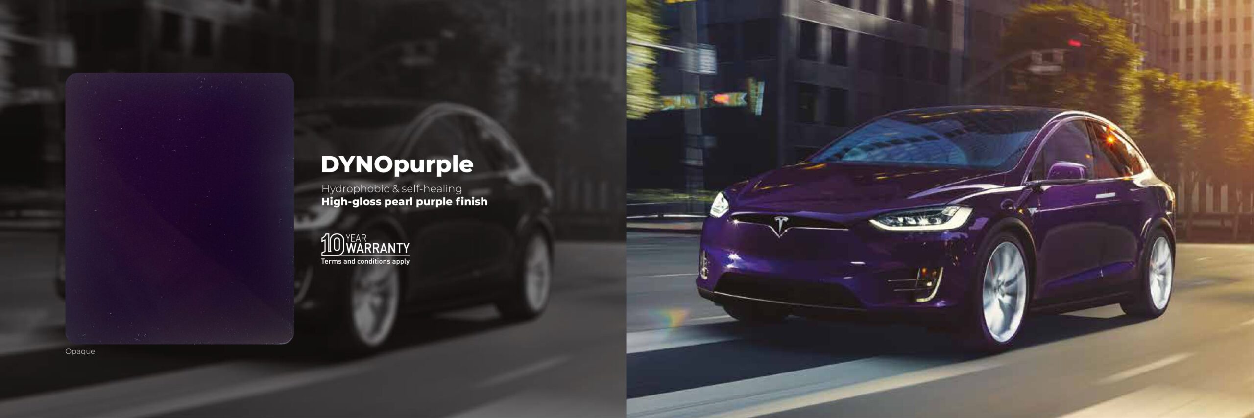 DYNOpurple