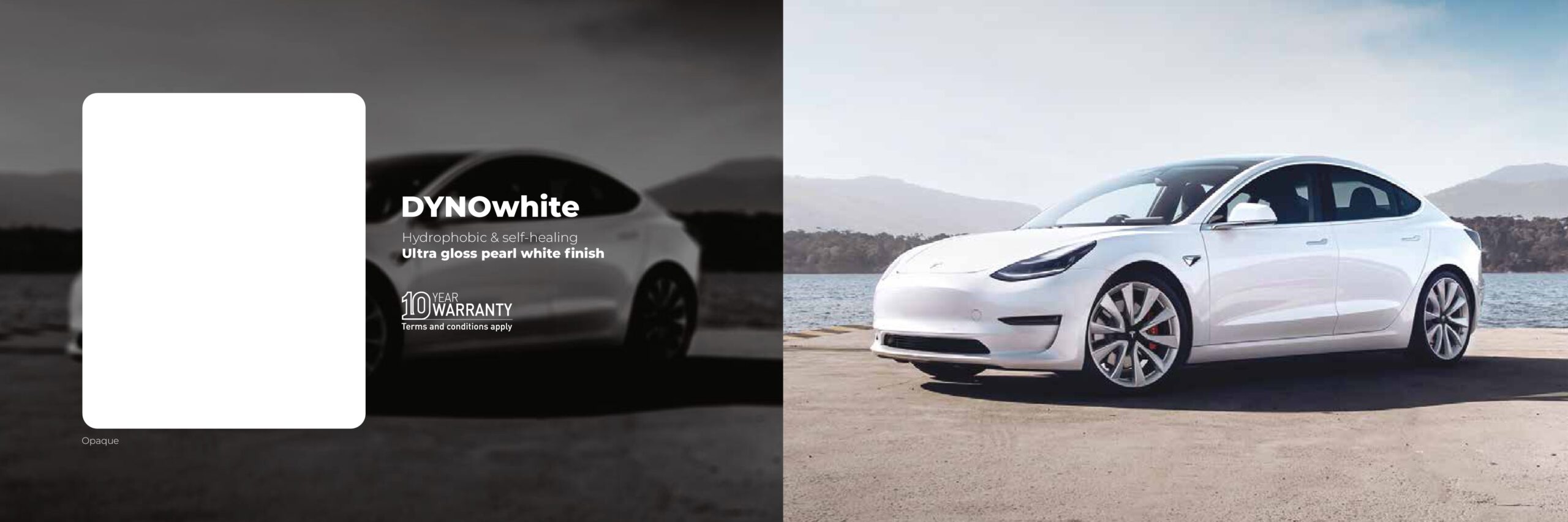 DYNOwhite